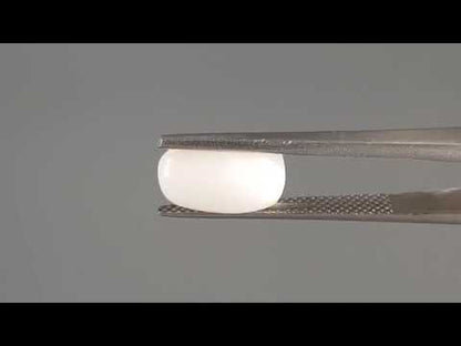 White Coral - 3.27 Carats