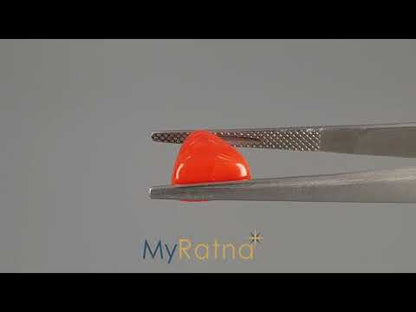 Red Coral (Moonga) - 3.95 Carats