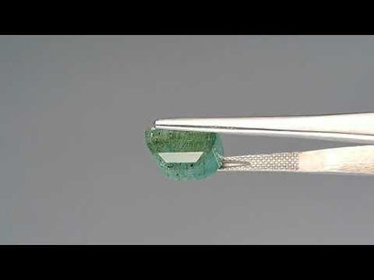 Emerald (Panna) - 7.22 Carats