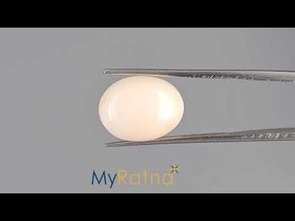 White Coral - 11.53 Carats