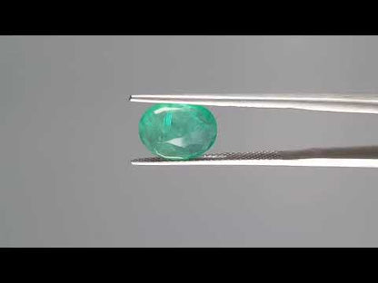 Emerald (Panna) - 2.60 Carats