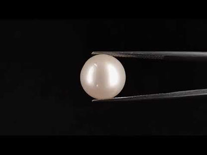 South Sea Pearl - 15.42 Carats (Moti - 16.81 Ratti)