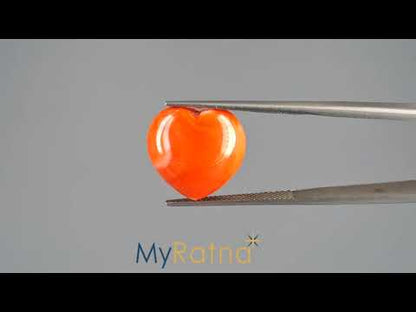 Red Coral - 13.31 Carats (Moonga - 14.51 Ratti)