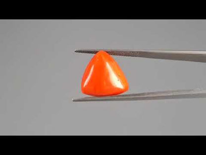 Red Coral - 12.16 Carats (Moonga - 13.25 Ratti)