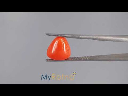 Red Coral - 8.86 Carats (Moonga - 9.66 Ratti)