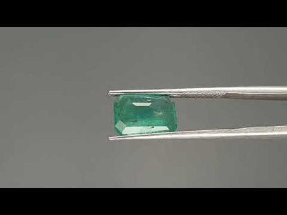 Emerald (Panna) - 3.08 Carats
