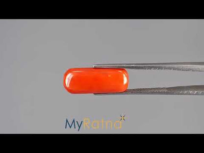 Red Coral - 8.51 Carats (Moonga - 9.28 Ratti)