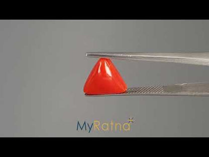 Red Coral (Moonga) - 4.86 Carats