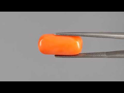 Red Coral - 10.07 Carats (Moonga - 10.98 Ratti)