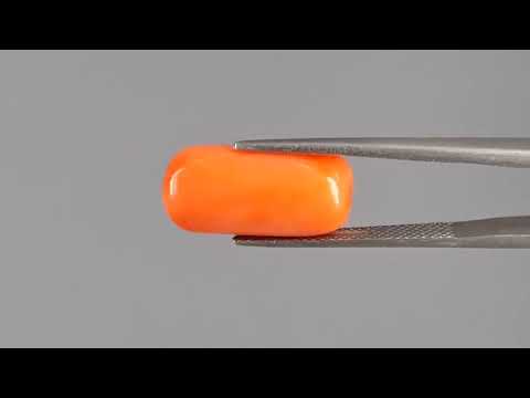 Red Coral - 10.07 Carats (Moonga - 10.98 Ratti)
