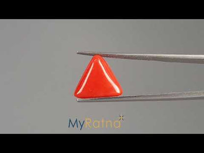 Red Coral (Moonga) - 5.96 Carats