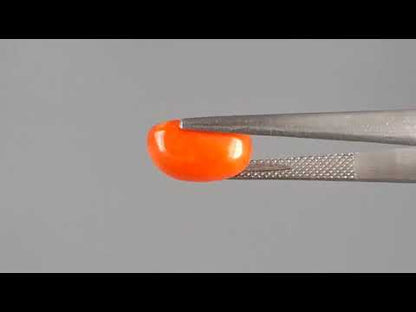 Red Coral (Moonga) - 4.43 Carats