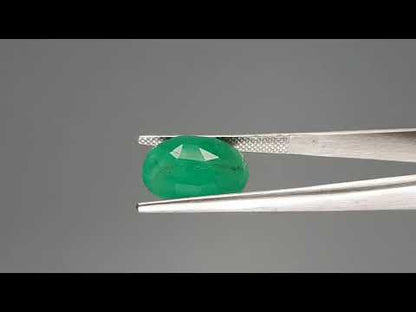 Emerald (Panna) - 7.25 Carats