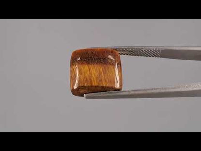 Tiger Eye - 9.38 Carats
