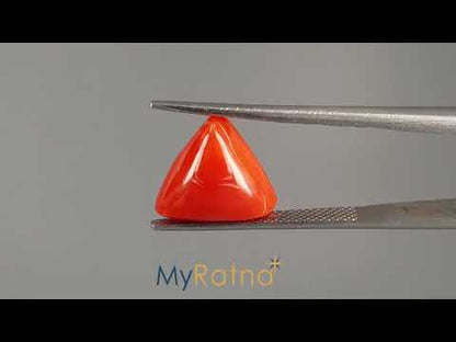 Red Coral (Moonga) - 5.19 Carats