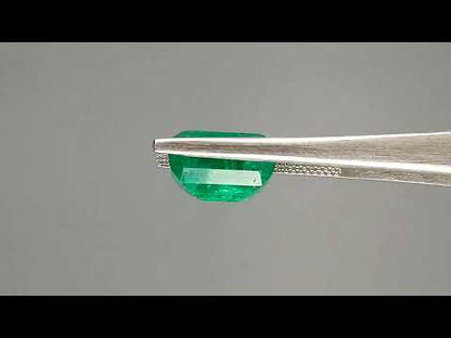 Emerald (Panna) - 6.63 Carats