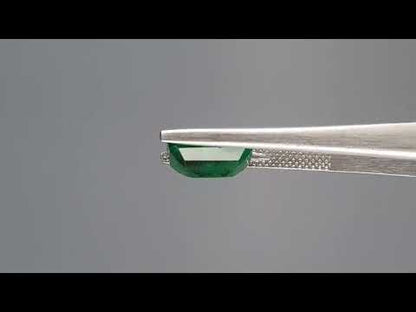 Emerald (Panna) - 3.79 Carats