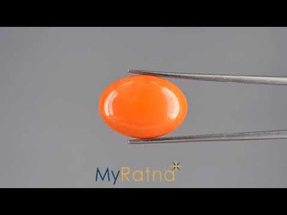 Red Coral - 10.35 Carats (Moonga - 11.28 Ratti)