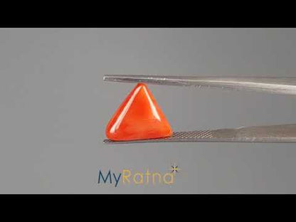 Red Coral (Moonga) - 4.54 Carats
