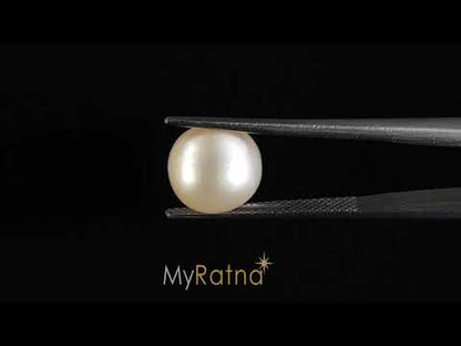 South Sea Pearl - 6.81 Carats (Moti - 7.42 Ratti)