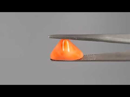 Red Coral (Moonga) - 7.51 Carats