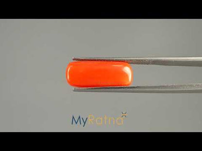 Red Coral - 6.53 Carats (Moonga - 7.12 Ratti)