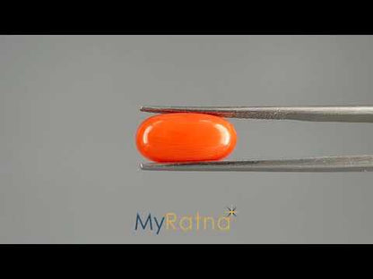 Red Coral (Moonga) - 5.96 Carats