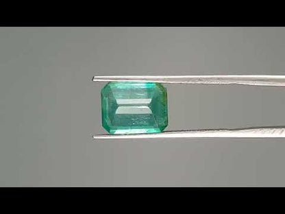 Emerald (Panna) - 3.01 Carats