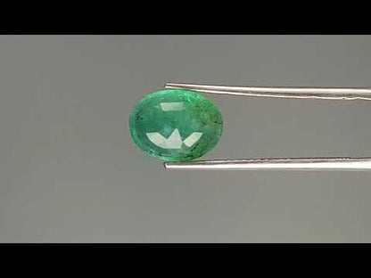 Emerald (Panna) - 3.09 Carats