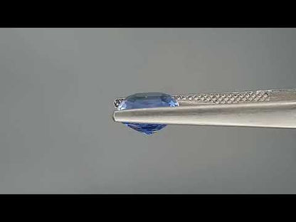 Blue Sapphire (Neelam) - 3.08 Carats