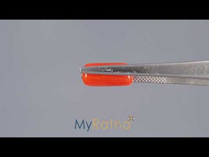 Red Coral (Moonga) - 3.93 Carats