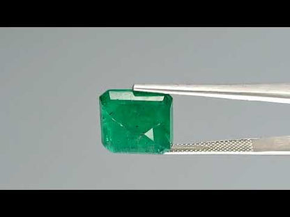 Emerald (Panna) - 9.76 Carats