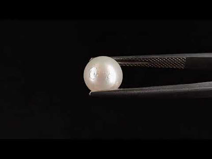 South Sea Pearl (Moti) - 3.86 Carats