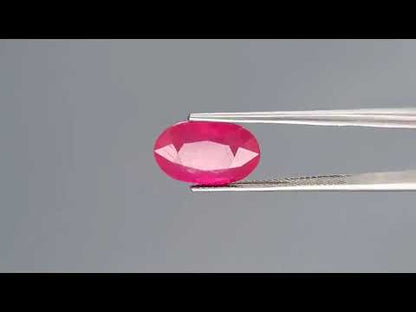 Ruby - 8.31 Carats (Manik - 9.06 Ratti)