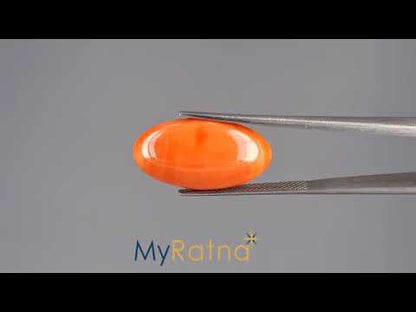 Red Coral - 10.90 Carats (Moonga - 11.88 Ratti)