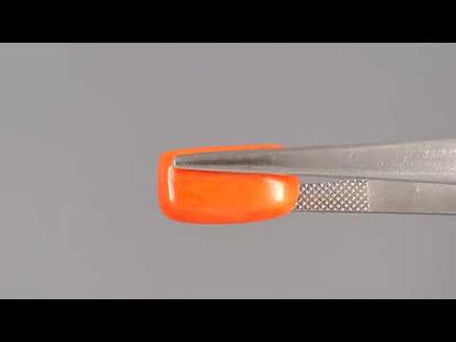 Red Coral - 8.11 Carats (Moonga - 8.84 Ratti)