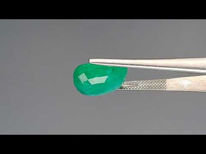 Emerald (Panna) - 10.95 Carats