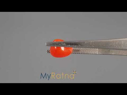Red Coral (Moonga) - 3.19 Carats