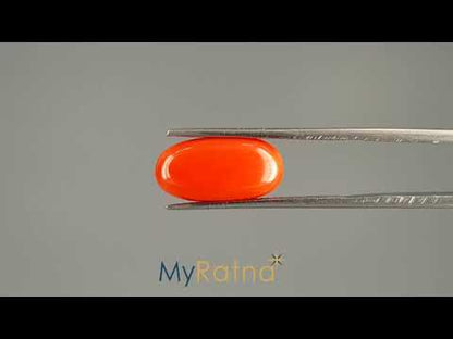 Red Coral (Moonga) - 5.68 Carats