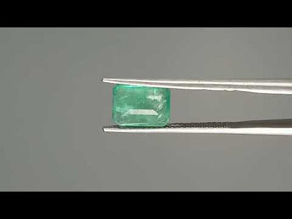 Emerald (Panna) - 2.21 Carats