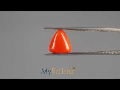 Red Coral (Moonga) - 3.86 Carats