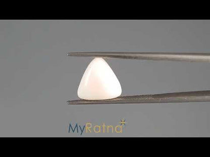 White Coral - 4.3 Carats