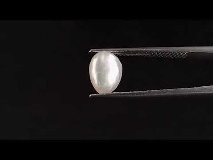 Venezuela Pearl - 2.45 Carats (Moti - 2.67 Ratti)