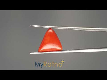 Red Coral (Moonga) - 6.61 Carats