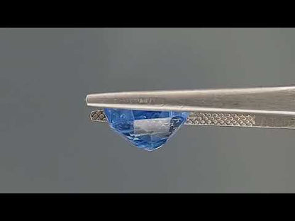 Blue Sapphire (Neelam) - 6.54 Carats