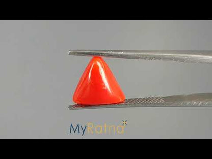 Red Coral (Moonga) - 4.67 Carats