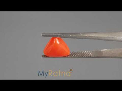 Red Coral (Moonga) - 3.92 Carats