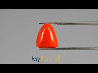 Red Coral - 9.31 Carats (Moonga - 10.15 Ratti)