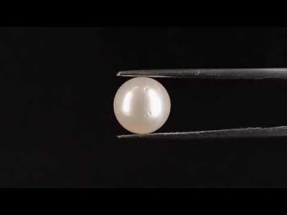 South Sea Pearl (Moti) - 3.84 Carats