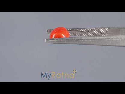 Red Coral (Moonga) - 1.84 Carats